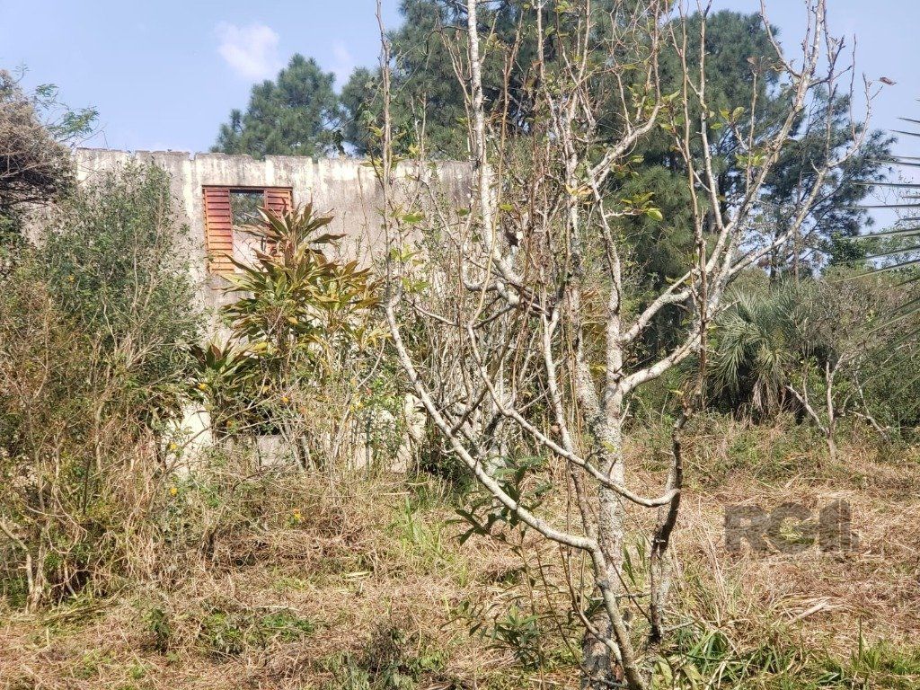 Terreno, 2003 m² - Foto 7