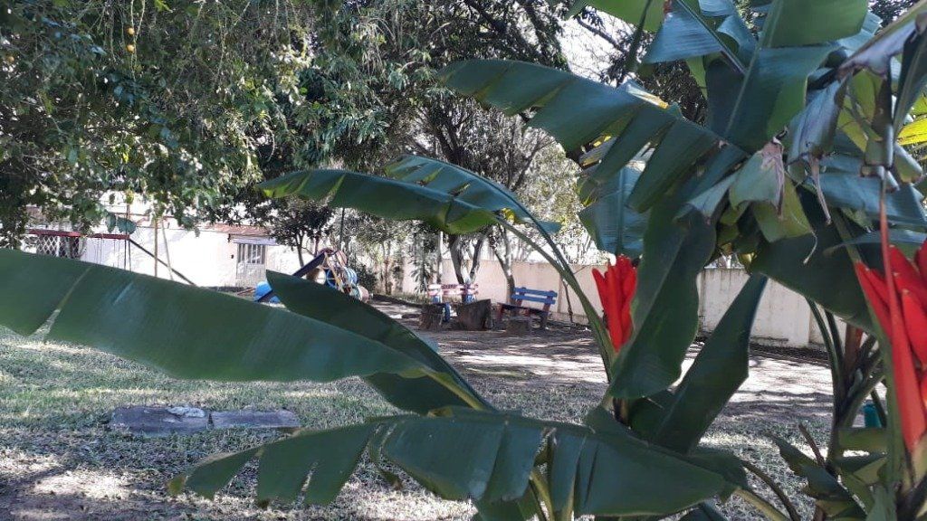 Apartamento, 3 quartos, 75 m² - Foto 15