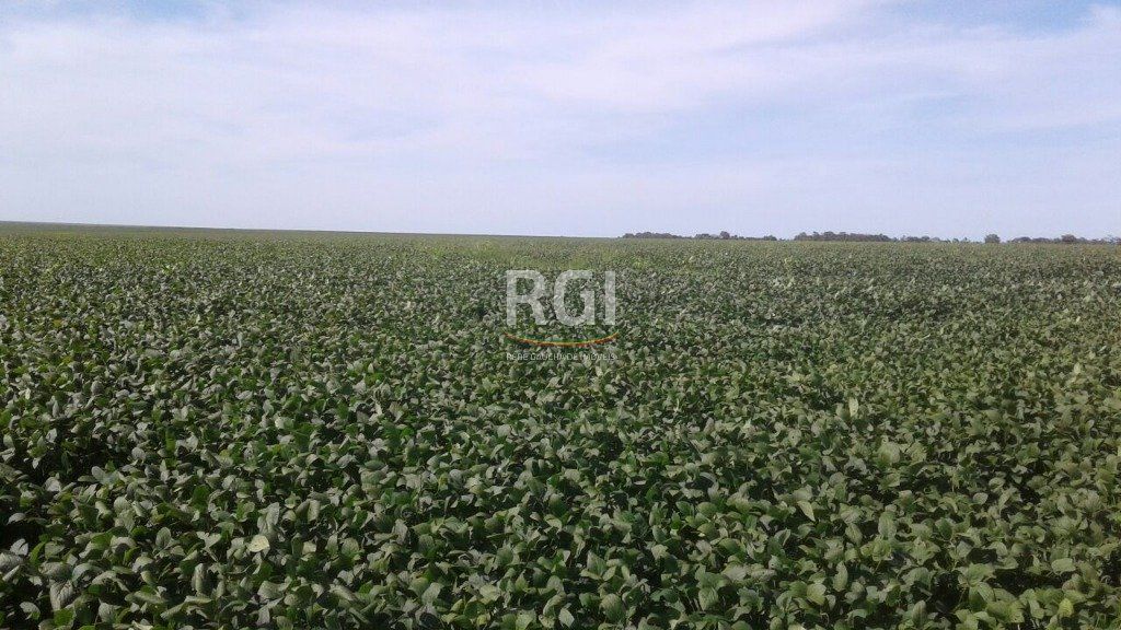 Terreno, 1050 hectares - Foto 13