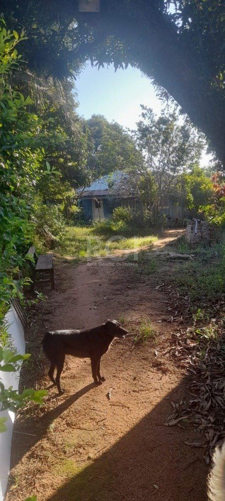 Terreno, 1625 m² - Foto 16