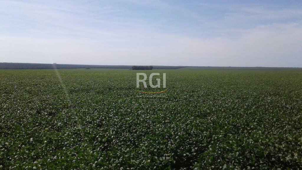 Terreno, 1050 hectares - Foto 28