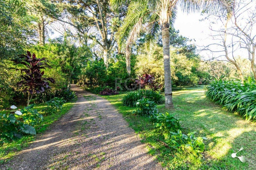 Terreno, 3 hectares - Foto 19