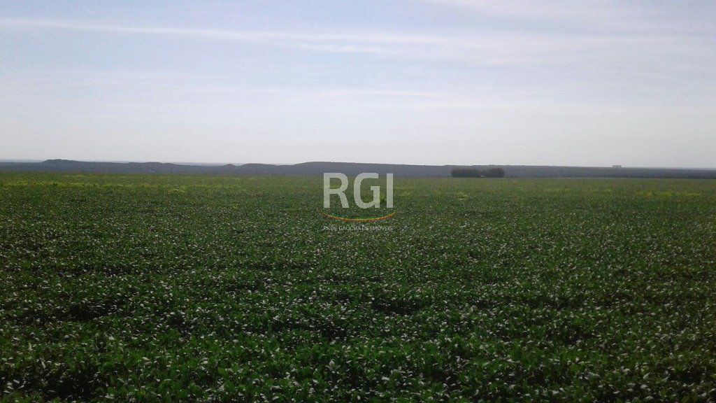 Terreno, 1050 hectares - Foto 8