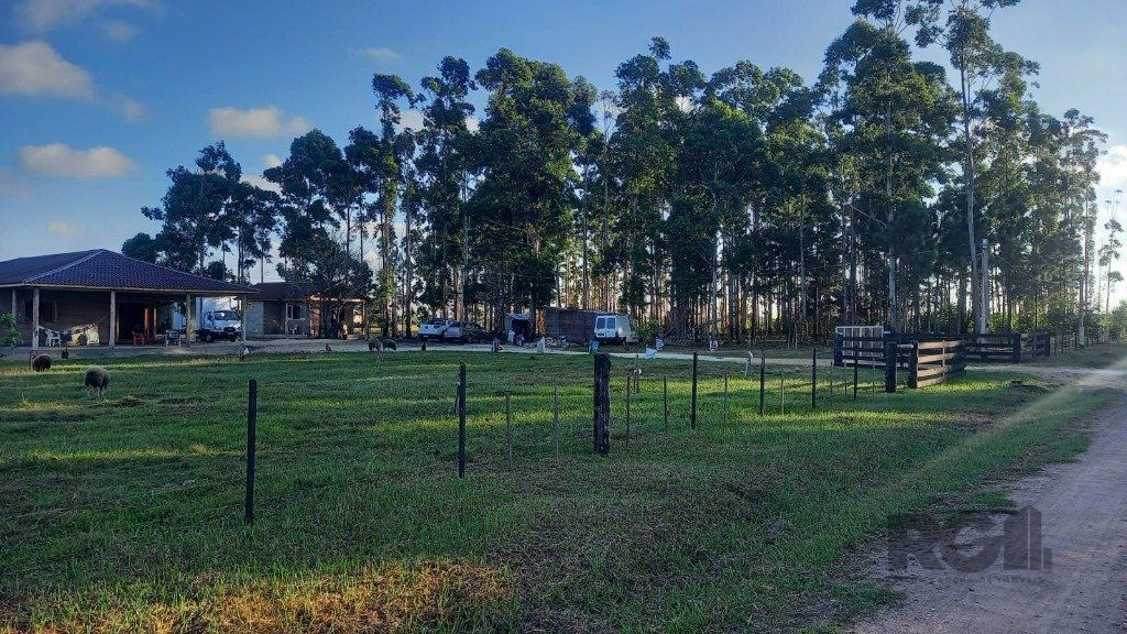 Chácara, 3 quartos, 3 hectares - Foto 12