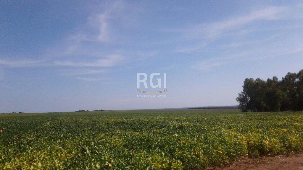 Terreno, 1050 hectares - Foto 25