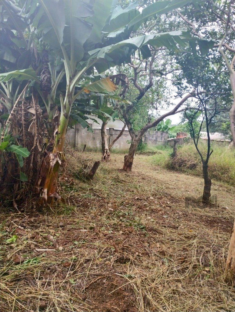 Terreno, 440 m² - Foto 5