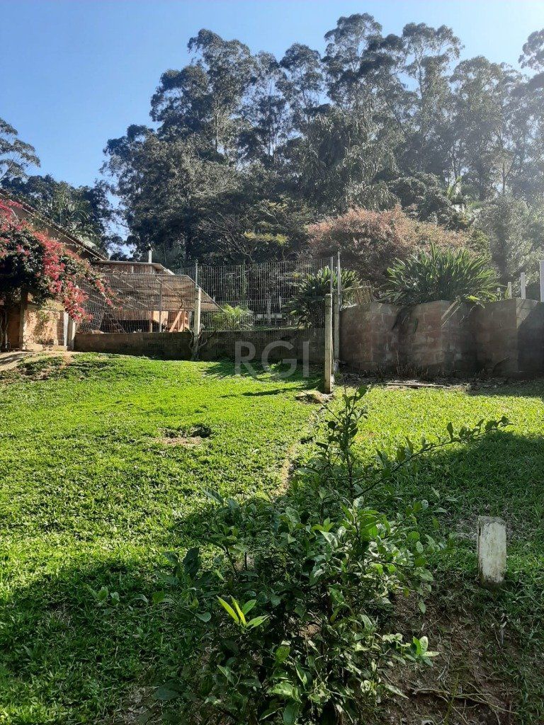 Terreno, 4526 m² - Foto 4