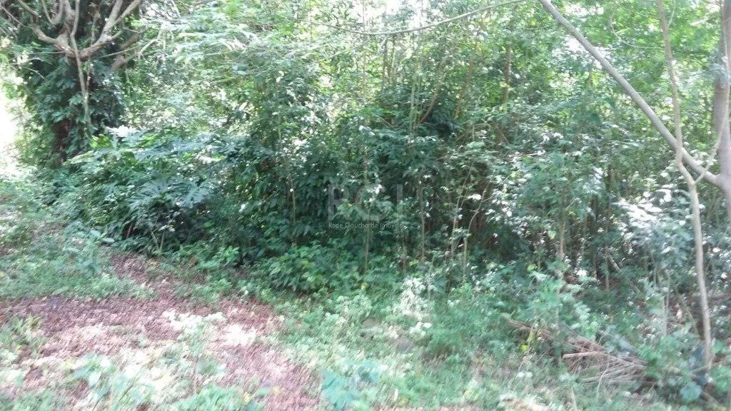 Terreno, 1 hectares - Foto 7