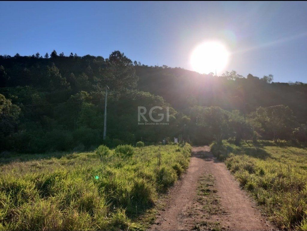 Terreno, 6 hectares - Foto 6