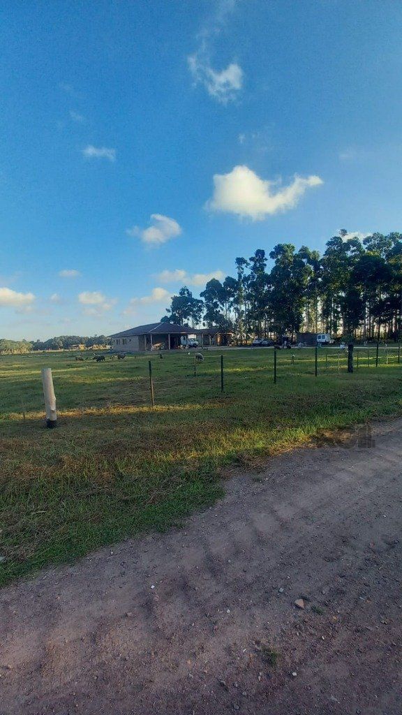 Chácara, 3 quartos, 3 hectares - Foto 6