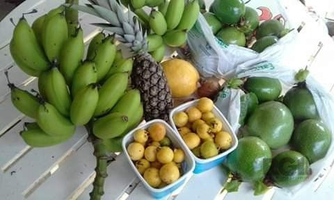 Casa de Condomínio, 2 quartos - Foto 2