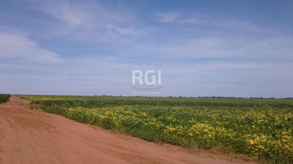 Terreno, 1050 hectares - Foto 18