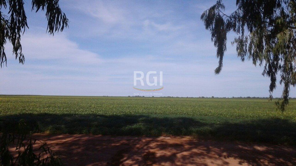 Terreno, 1050 hectares - Foto 9