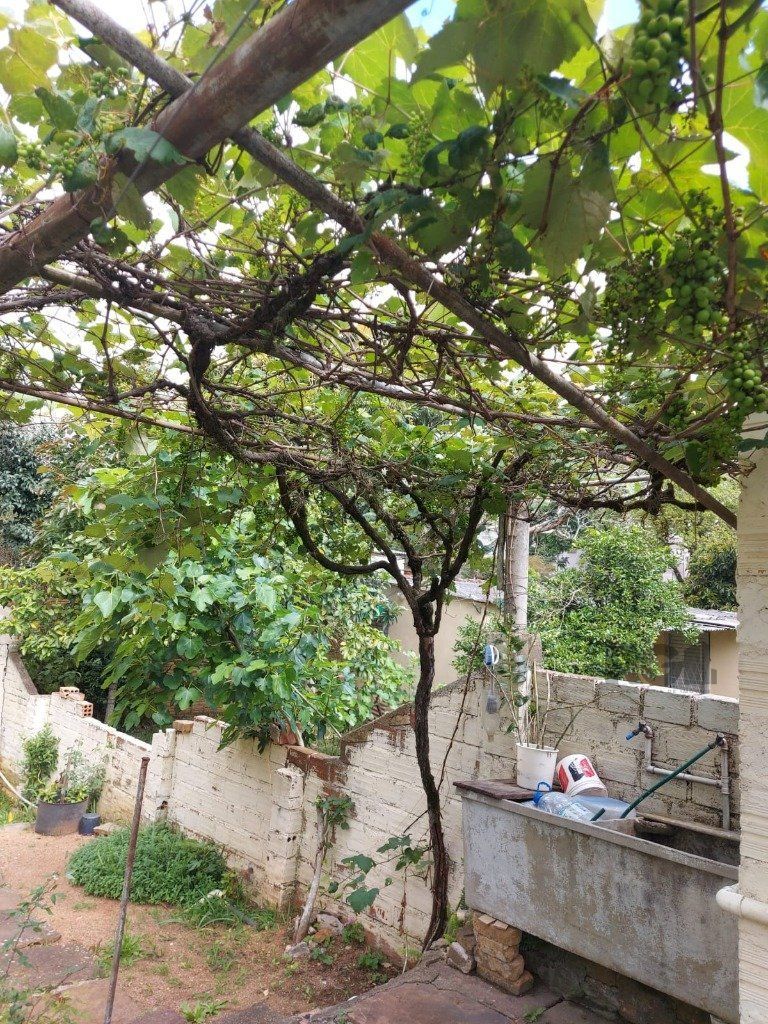 Casa, 3 quartos, 156 m² - Foto 8