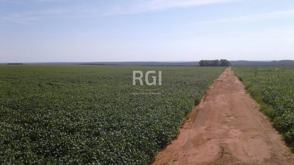 Terreno, 1050 hectares - Foto 20