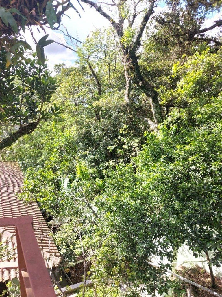 Casa à venda com 4 quartos, 400m² - Foto 54