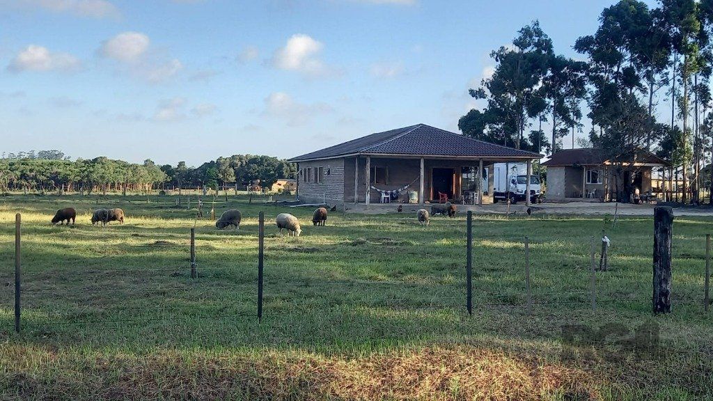 Sítio, 3 quartos, 3 hectares - Foto 1