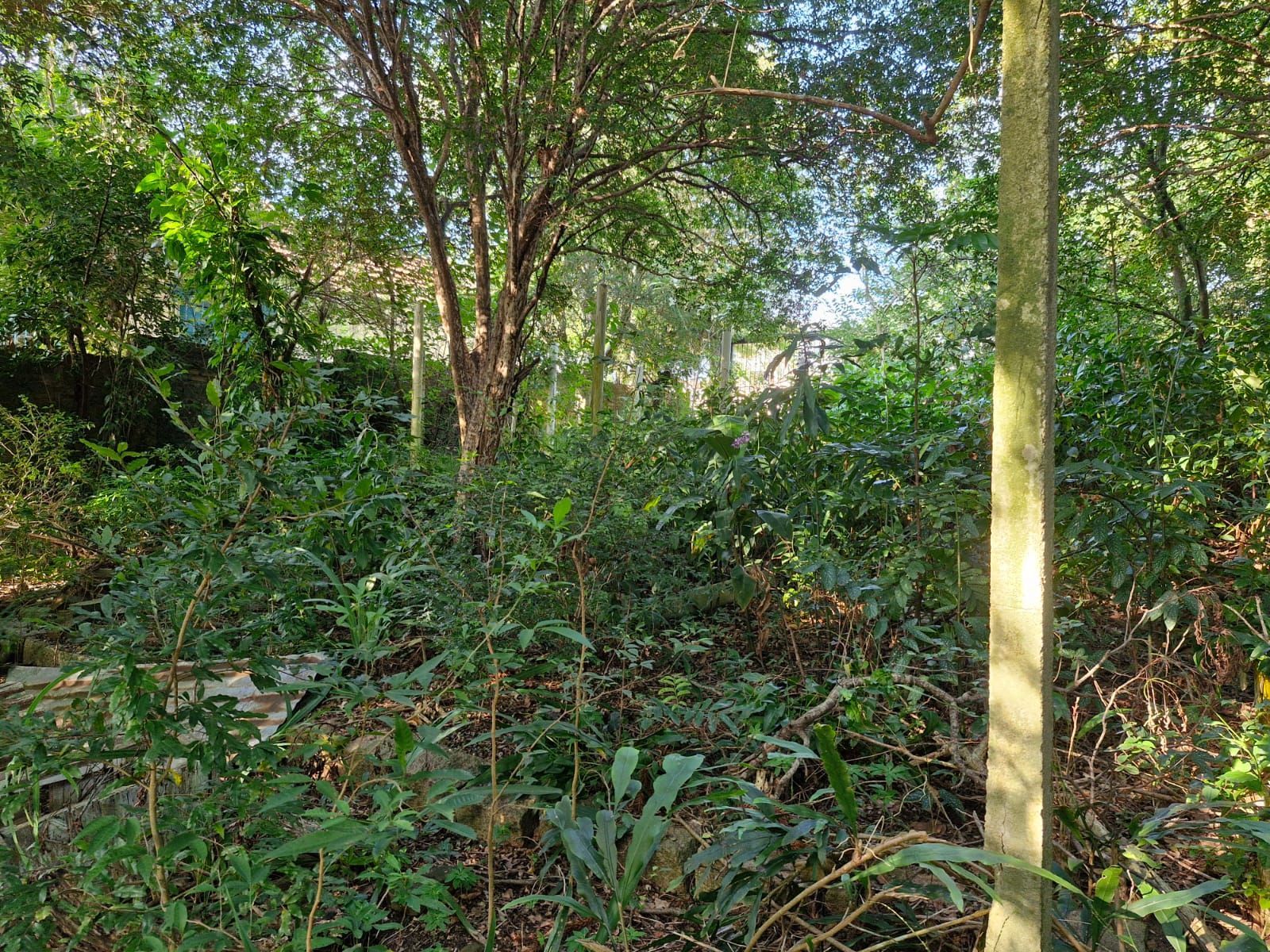 Terreno à venda, 1463m² - Foto 8