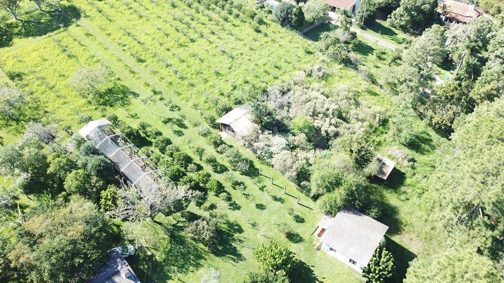 Chácara, 2 quartos, 1 hectares - Foto 9