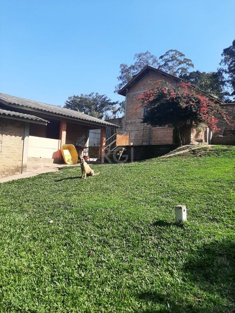 Terreno, 4526 m² - Foto 2