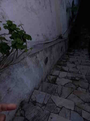 Casa, 3 quartos, 250 m² - Foto 31