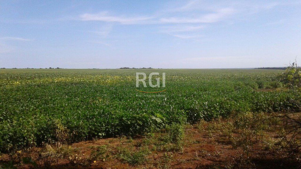 Terreno, 1050 hectares - Foto 36