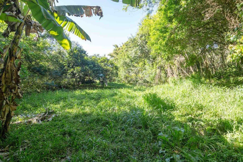 Casa, 6 quartos, 393 m² - Foto 9