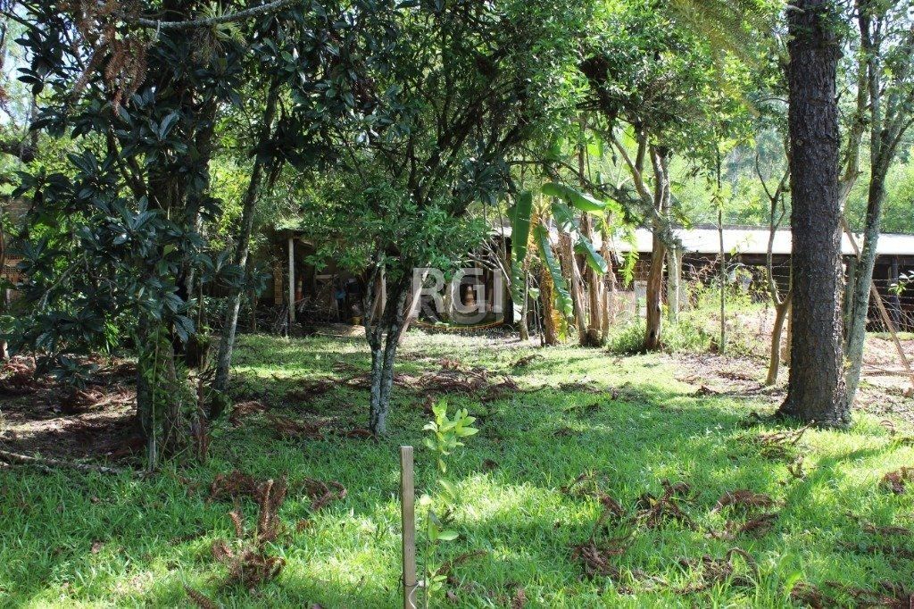 Sítio à venda com 3 quartos, 100m² - Foto 16