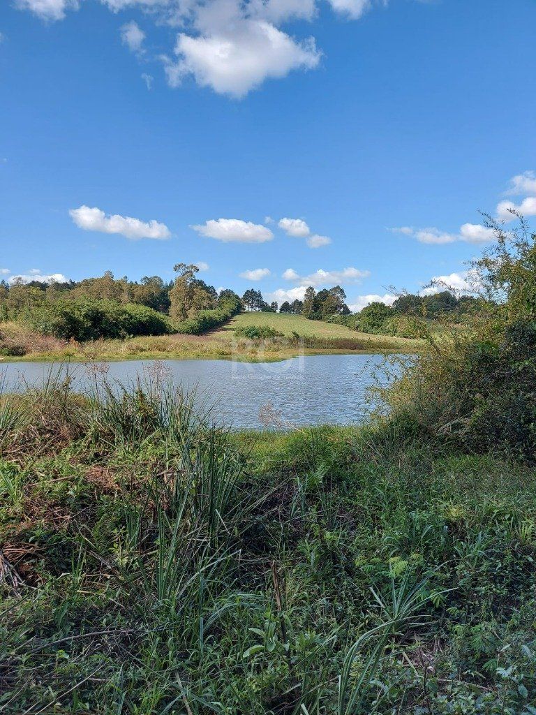 Terreno à venda, 70000m² - Foto 6