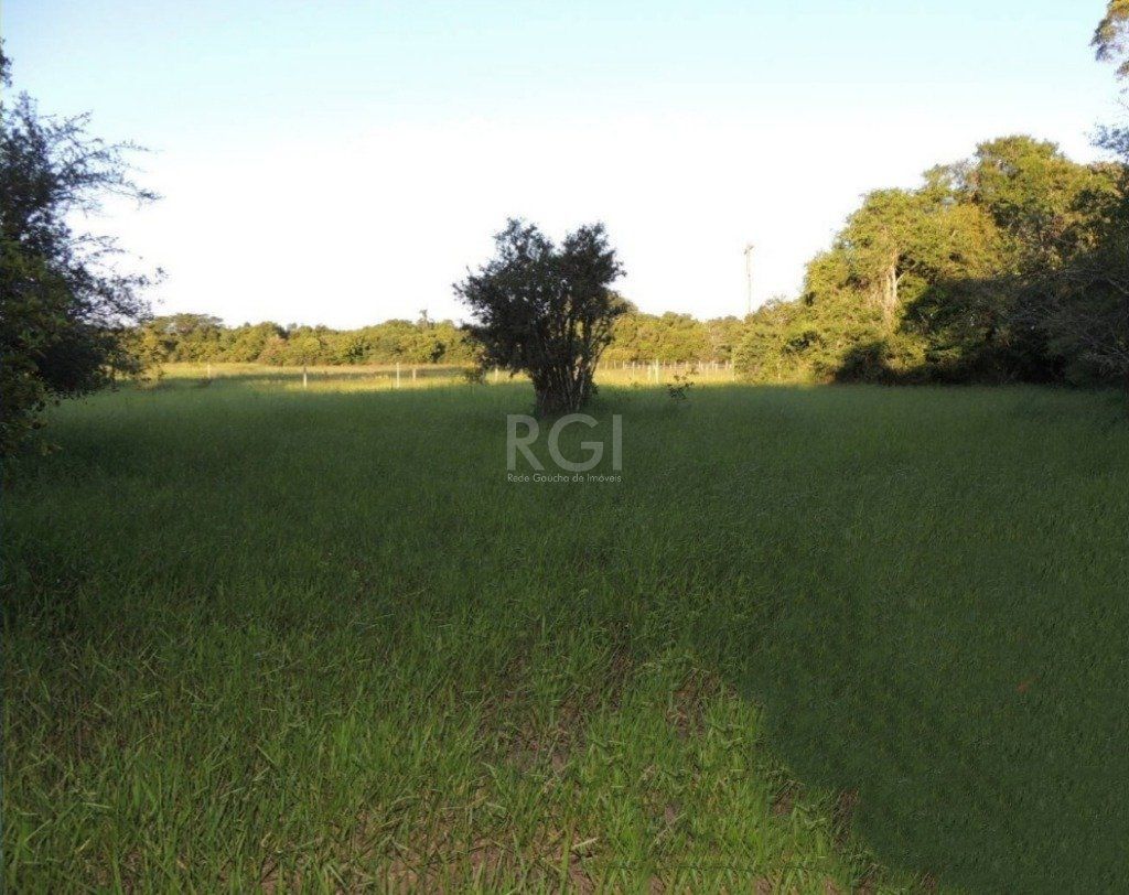 Chácara, 2 quartos, 2000 m² - Foto 1
