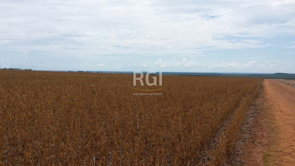 Terreno, 1050 hectares - Foto 26