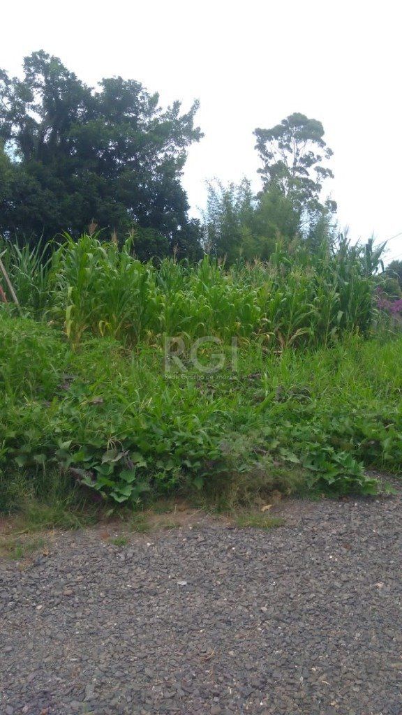 Casa, 3 quartos, 108 m² - Foto 2