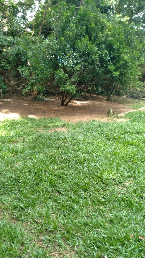 Casa, 4 quartos, 279 m² - Foto 13