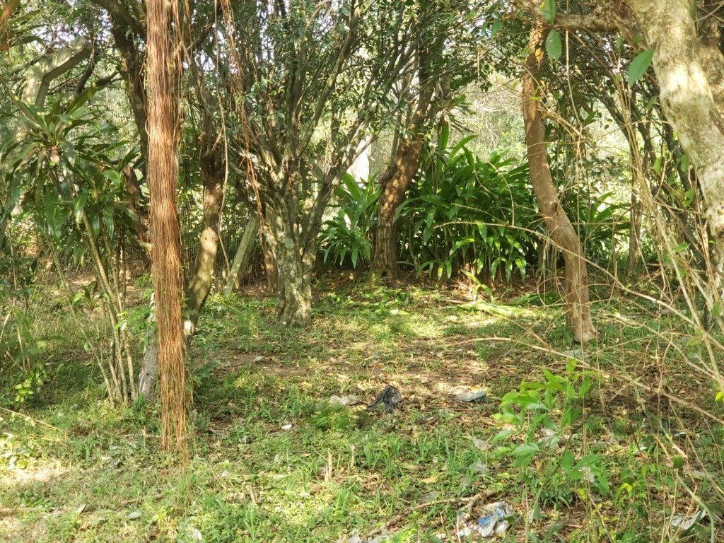 Terreno, 2003 m² - Foto 14