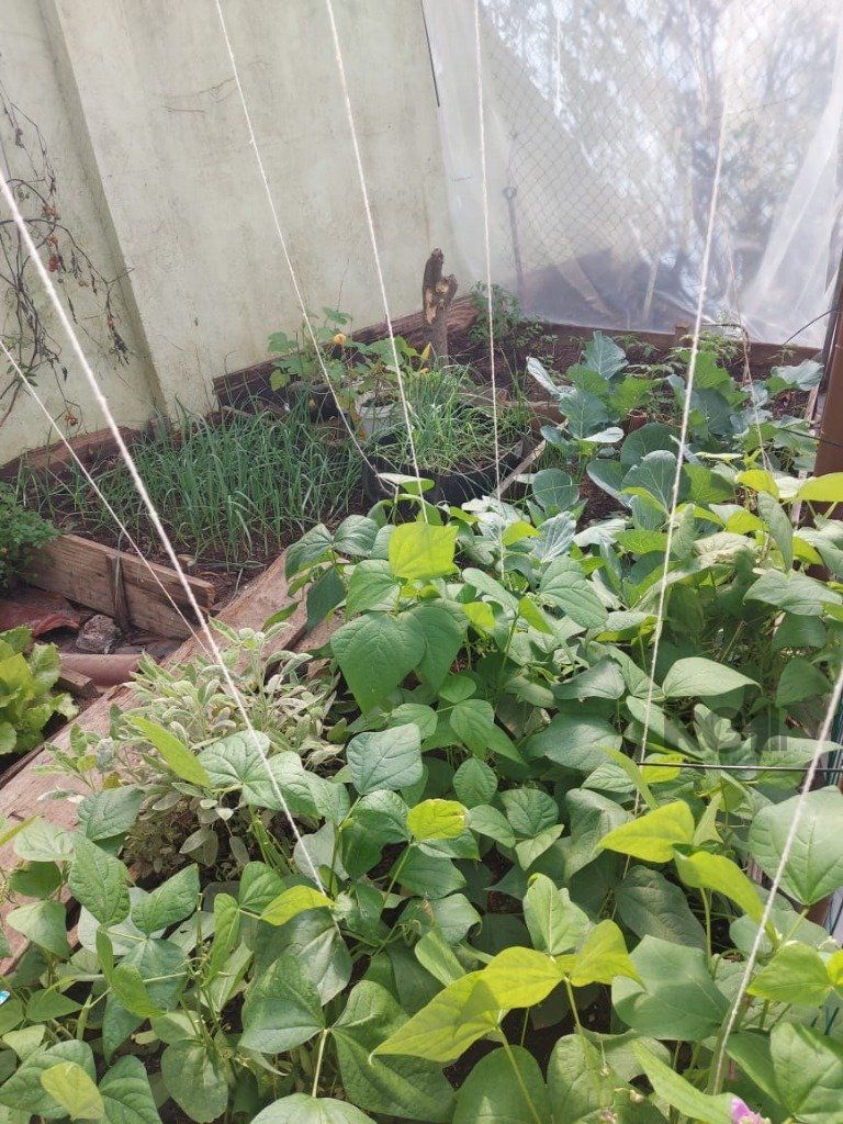 Casa à venda com 4 quartos, 400m² - Foto 60