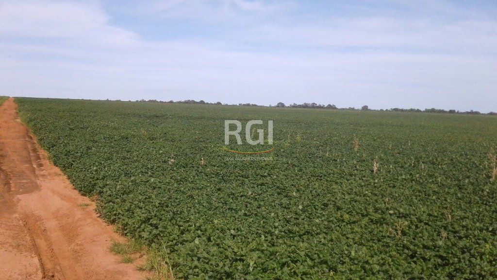 Terreno, 1050 hectares - Foto 7