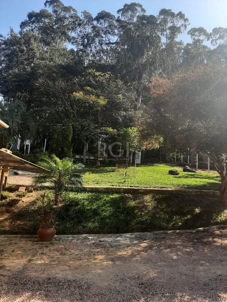 Terreno, 4526 m² - Foto 7