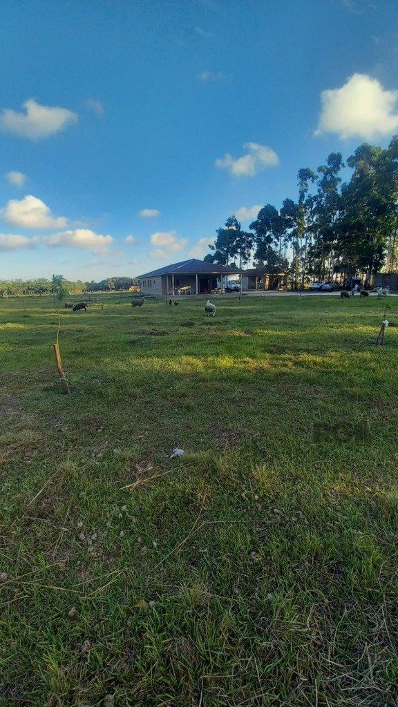 Chácara, 3 quartos, 3 hectares - Foto 7