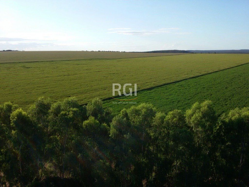 Terreno, 1050 hectares - Foto 2