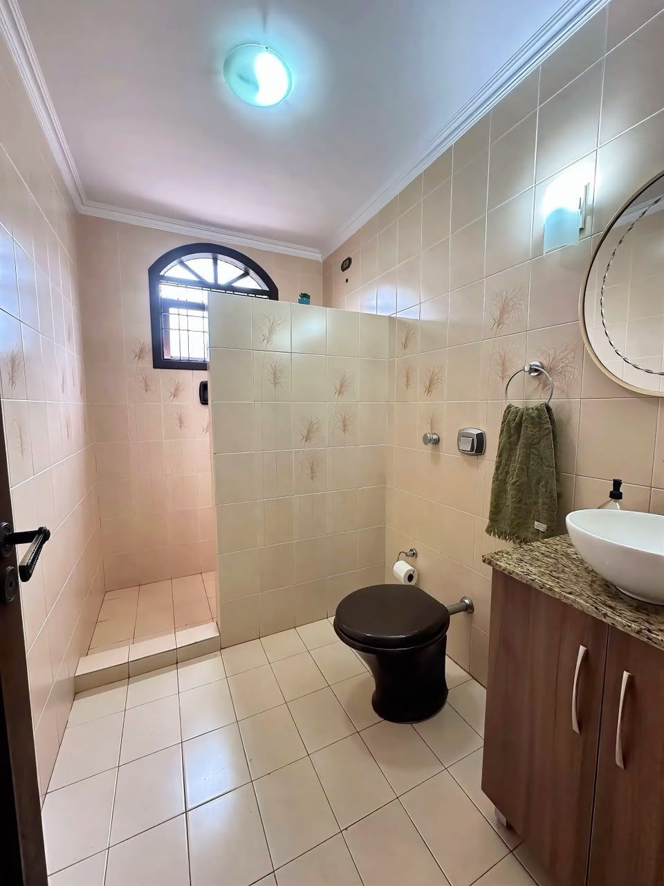 Casa, 4 quartos, 301 m² - Foto 9
