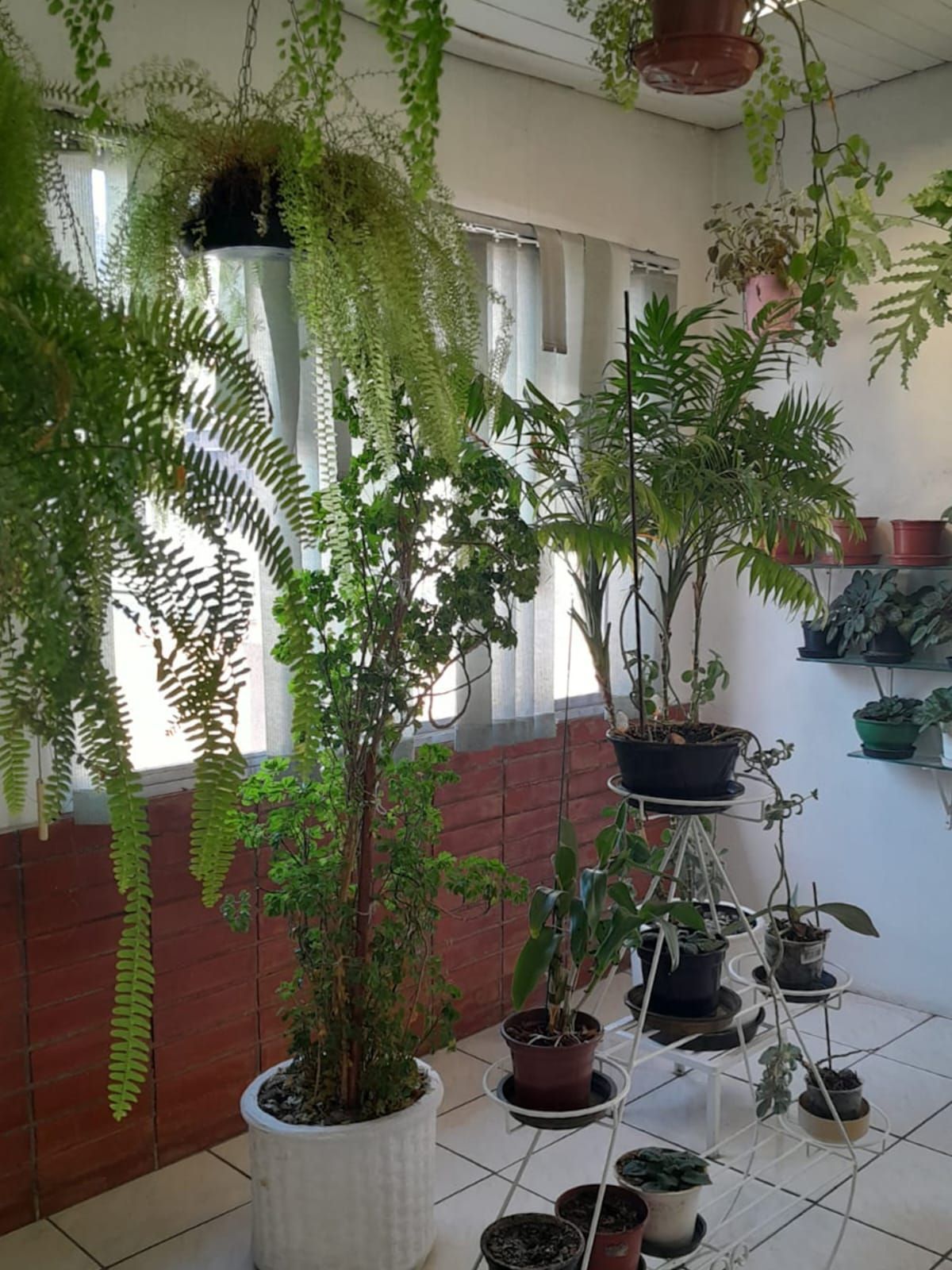 Apartamento à venda com 2 quartos, 59m² - Foto 17