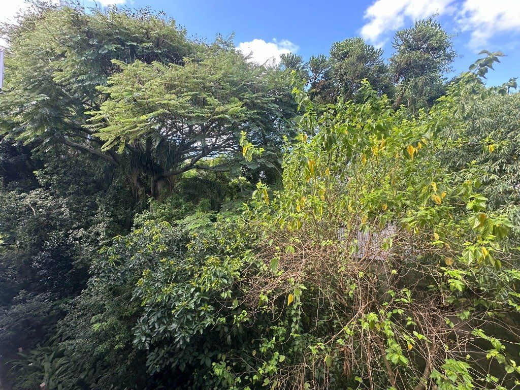 Cobertura à venda com 3 quartos, 121m² - Foto 28