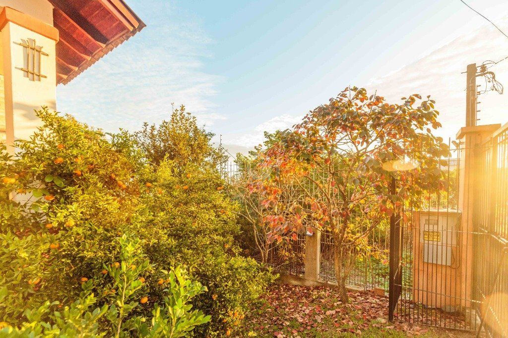 Casa, 3 quartos, 498 m² - Foto 37