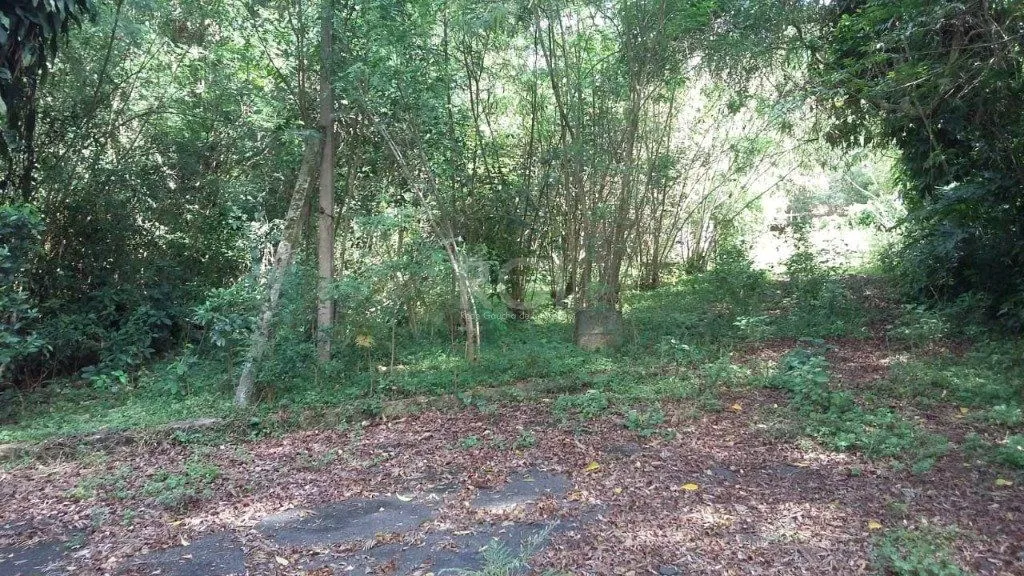 Terreno, 1 hectares - Foto 12