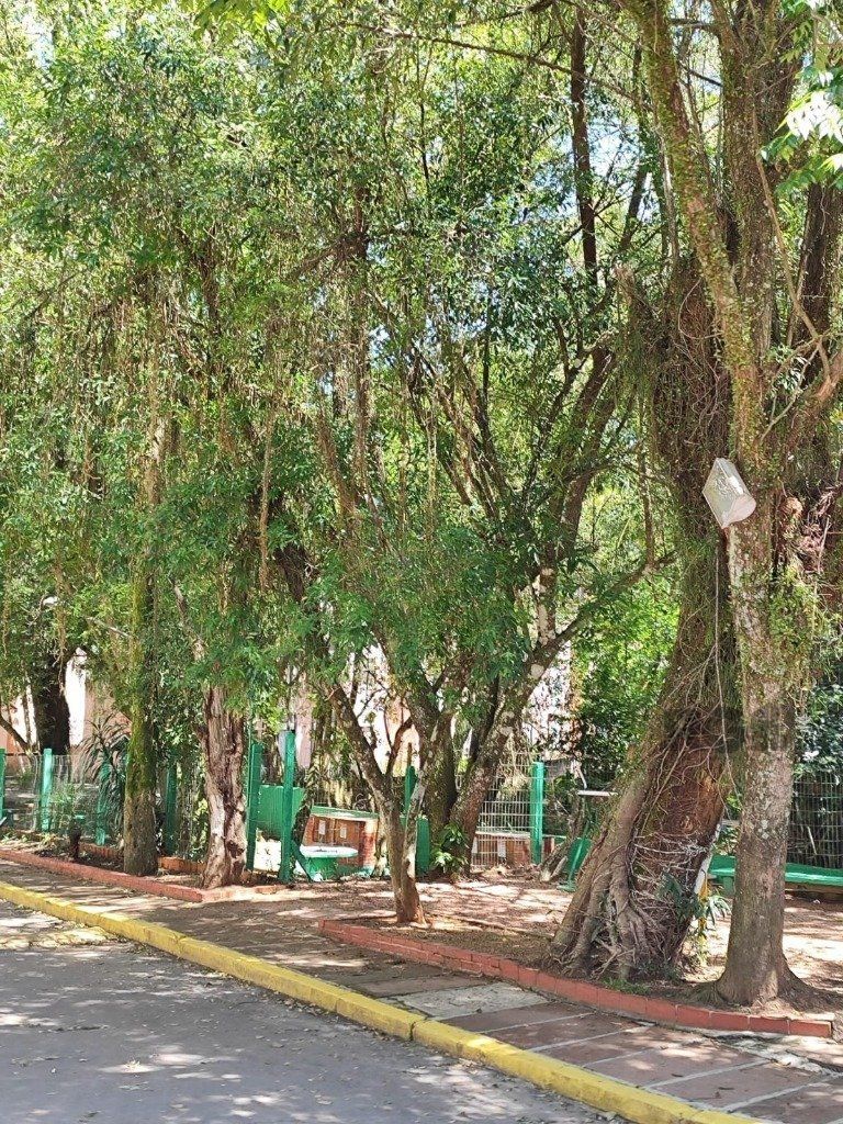 Apartamento, 3 quartos, 67 m² - Foto 20