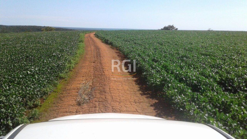 Terreno, 1050 hectares - Foto 21