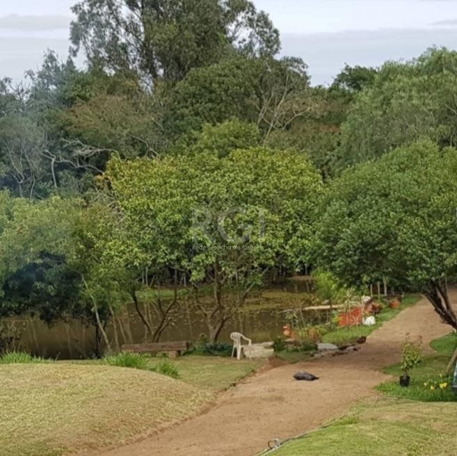 Terreno, 2 hectares - Foto 4