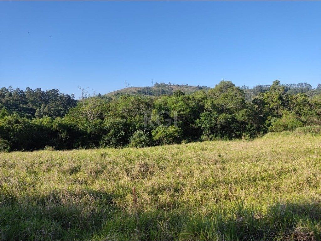 Terreno, 6 hectares - Foto 8