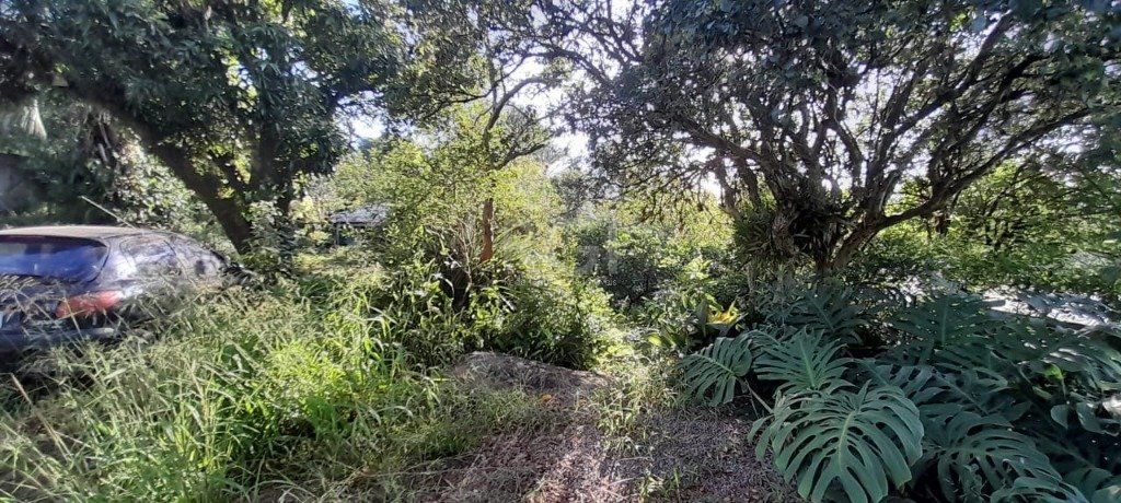 Terreno, 1625 m² - Foto 11