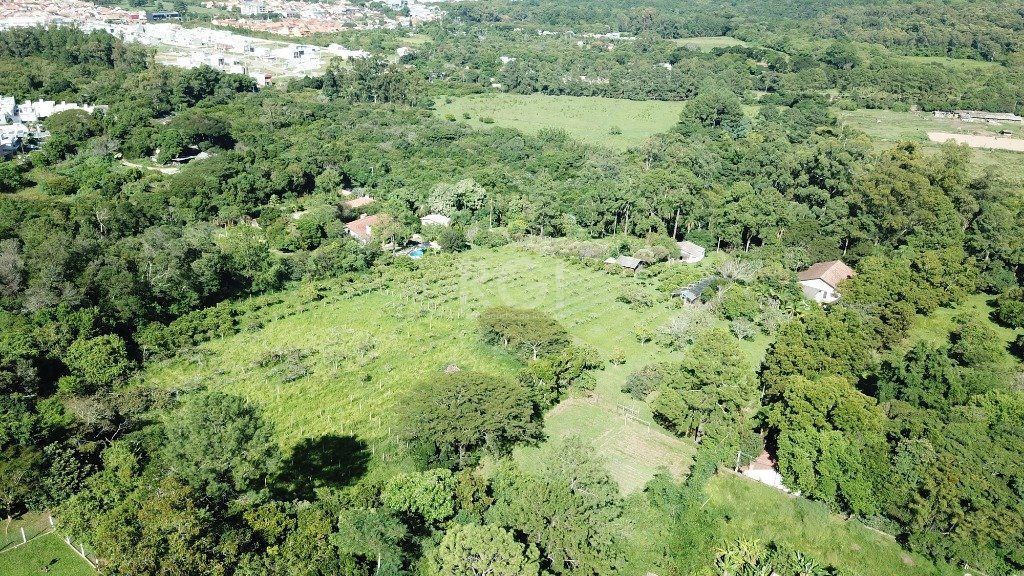 Chácara, 2 quartos, 1 hectares - Foto 43